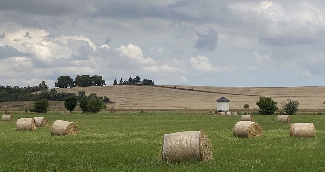 Sommerstimmung bei Merxleben (Foto: oas) Sommerstimmung bei Merxleben (Foto: oas)
