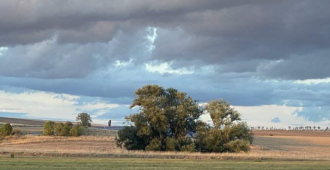 Es bleibt auch morgen regnerisch (Foto: oas)