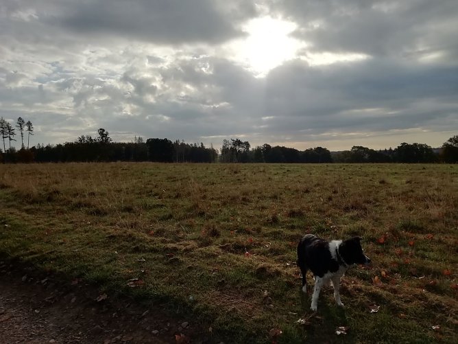 Sechs Grad frisch pr&auml;sentierte sich der Tag heute in Sophienhof (Foto: W. J&ouml;rgens)