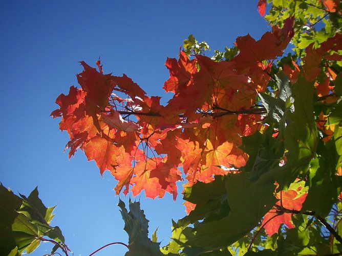 Wetterbild (Foto: wirsinds) Wetterbild (Foto: wirsinds)