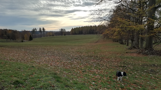 Auch in Sophienhof bleibt der Herbst weiter mild und freundlich (Foto: W. J&ouml;rgens)