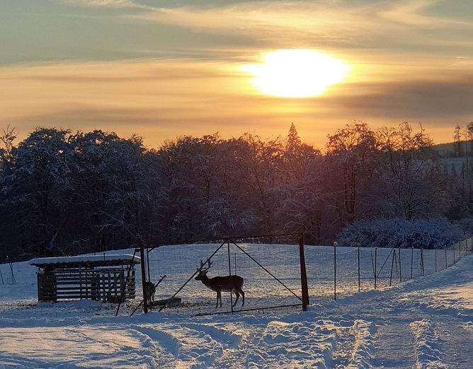Winteridylle (Foto: Gerhard M&uuml;ller)