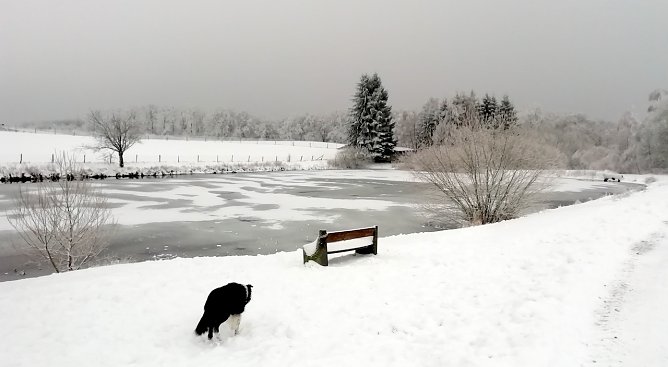 Der winterliche Harz l&auml;dt bei Werten um den Gefrierpunkt zu Spazierg&auml;ngen ein (Foto: W.J&ouml;rgens)