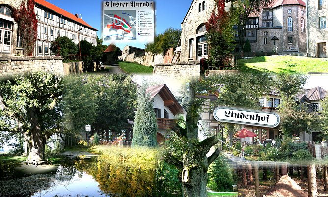 Collage (Foto: J.Retzek)