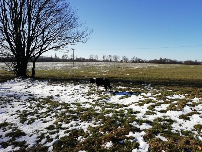 Im Harz kommt die Sonne langsam gegen den Winter an (Foto: W. J&ouml;rgens)