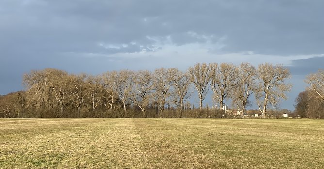 Es bleibt winterlich kalt (Foto: oas) Es bleibt winterlich kalt (Foto: oas)