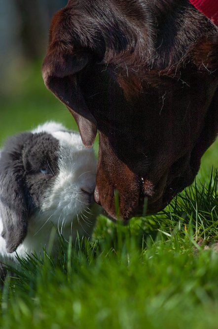 Zwei gute Freunde (Foto: T. Scholz)