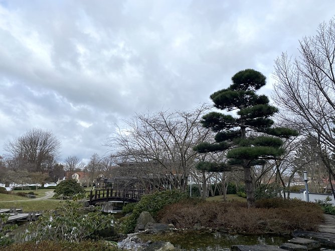 Stürmisches Wetter auch im Japanischen Garten Bad Langensalzas (Foto: oas) Stürmisches Wetter auch im Japanischen Garten Bad Langensalzas (Foto: oas)