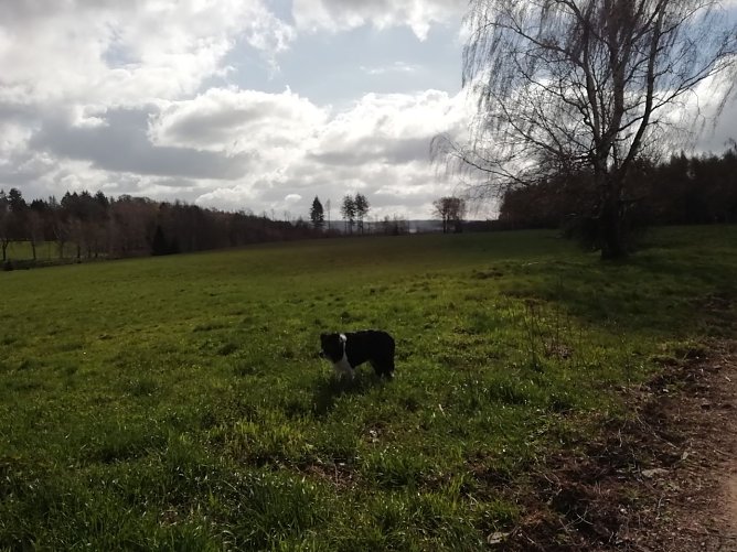 In Sophienhof ist man wieder an der Null-Grad Marke angekommen (Foto: W. J&ouml;rgens)