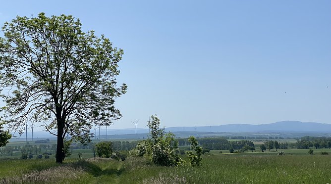 Blick vom Hainich auf den Thüringer wald (Foto: oas) Blick vom Hainich auf den Thüringer wald (Foto: oas)