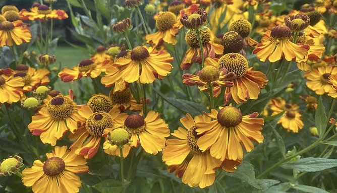 Sonne satt erwartet uns in den nächsten Tagen (Foto: emw) Sonne satt erwartet uns in den nächsten Tagen (Foto: emw)