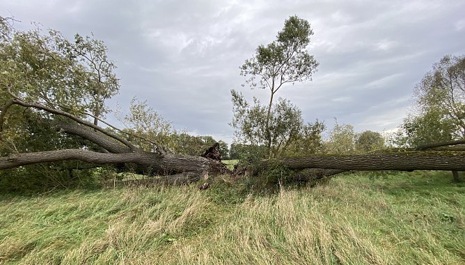 Weiter kühles Herbstwetter (Foto: oas) Weiter kühles Herbstwetter (Foto: oas)