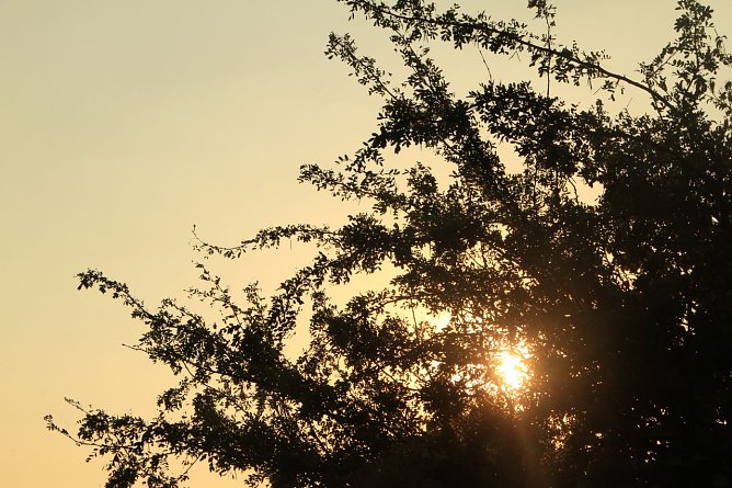 Wetterbild (Foto: agl)