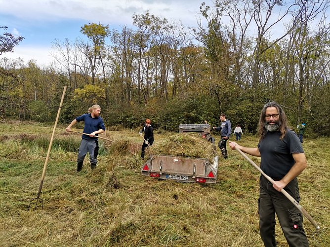 Pflegeeinsatz auf der Binsenwiese bei Reichenbach mit vielen helfenden H&auml;nden    (Foto: Jan Lanvers)