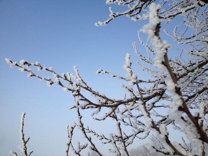 Wetterbild (Foto: nnz)