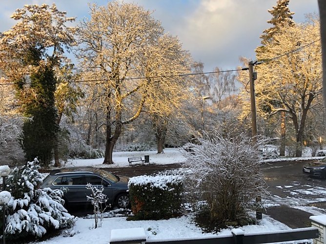Blick auf den F&ouml;rstemannpark in Nordhausen im November 2023 (Foto: Bernd Dempwolf)