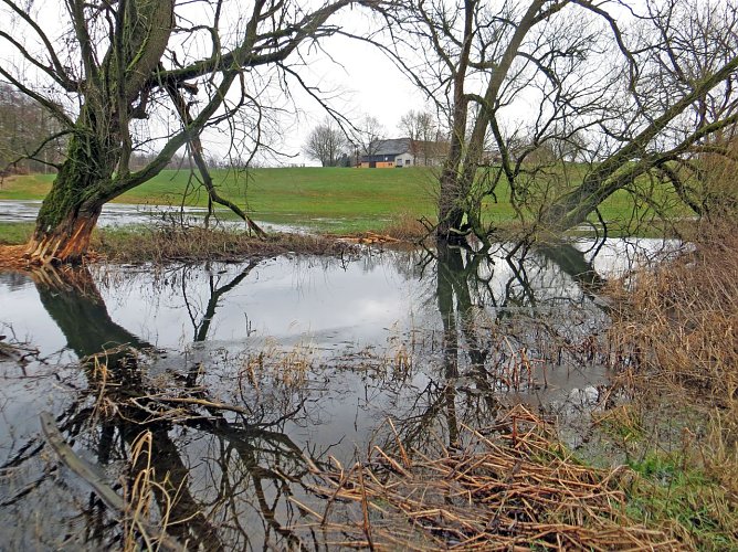 Intakte Auelandschaft (Foto: Marcus Orlam&uuml;nder)