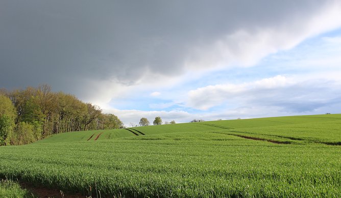 Wetter (Foto: Eva Maria Wiegand) Wetter (Foto: Eva Maria Wiegand)