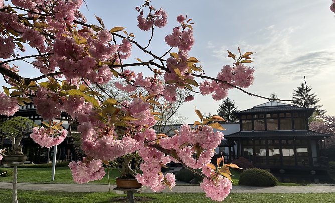 Der Fr&uuml;hling legt eine Pause ein (Foto: oas)