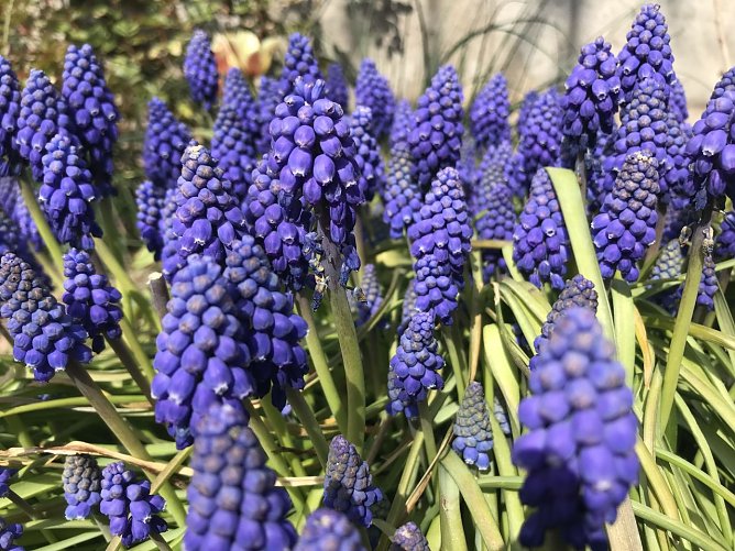 Wetterbild (Foto: agl)