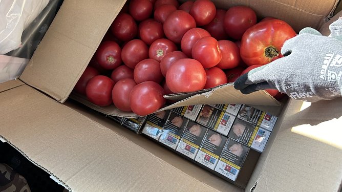 Schmuggelware unter den Tomaten (Foto: Hauptzollamt Erfurt) Schmuggelware unter den Tomaten (Foto: Hauptzollamt Erfurt)