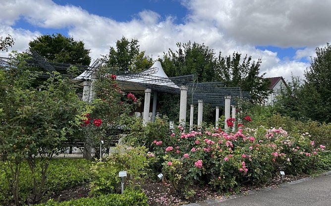 Im Rosengarten Bad Langensalza (Foto: oas) Im Rosengarten Bad Langensalza (Foto: oas)