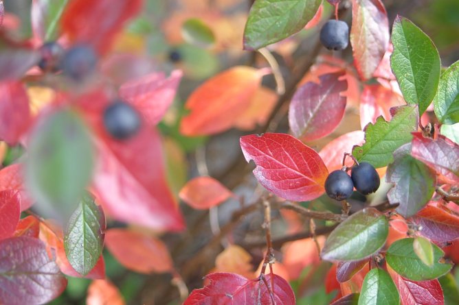 Wetterbild (Foto: agl) Wetterbild (Foto: agl)