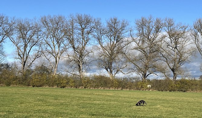 Wieder freundlicheres Herbstwetter (Foto: oas) Wieder freundlicheres Herbstwetter (Foto: oas)