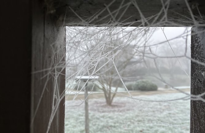 Nachts bleibt es frostig (Foto: oas) Nachts bleibt es frostig (Foto: oas)