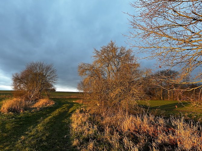 Morgentlicher Anblick in Nordhausen OT Leimbach (Foto: Susanne Th&uuml;mmel)