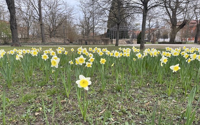Heute stürmisch mir Gewitterneigung (Foto: oas) Heute stürmisch mir Gewitterneigung (Foto: oas)