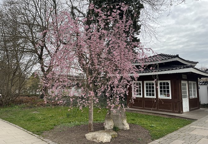 Freundliches Fr&uuml;hlingswetter bestimmt das Wochenende (Foto: oas)