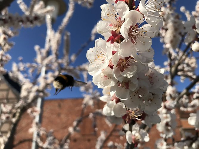 Wetterbild (Foto: agl)