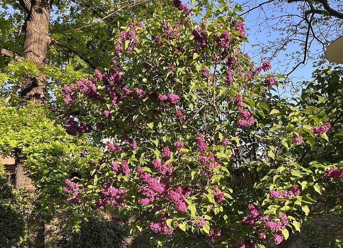 Ab morgen deutlich w&auml;rmer (Foto: oas)