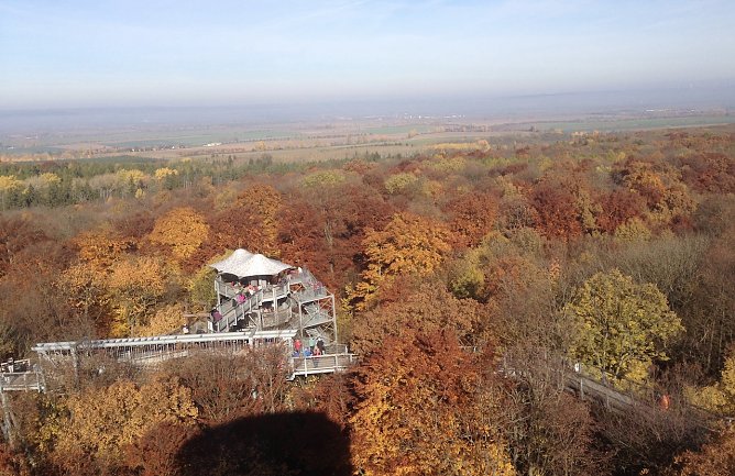 Baumkronenpfad im Hainich (Foto: uhz-Archiv) Baumkronenpfad im Hainich (Foto: uhz-Archiv)