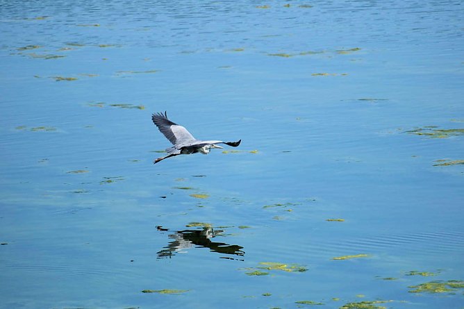 Unser Wetterbild kommt heute von Peter Blei der am Stausee Kelbra unterwegs war (Foto: Peter Blei)