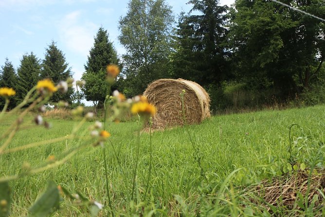 Wetterbild (Foto: agl) Wetterbild (Foto: agl)