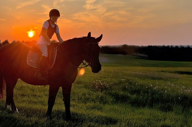 Mia Breitenstein- Der Kampf mit dem Krebs (Foto: Nico Ortmann) Mia Breitenstein- Der Kampf mit dem Krebs (Foto: Nico Ortmann)