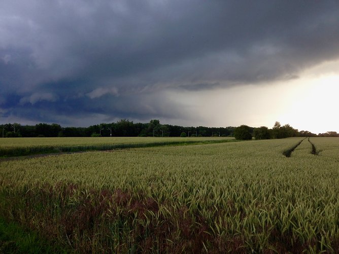 Wetterbild (Foto: nnz)