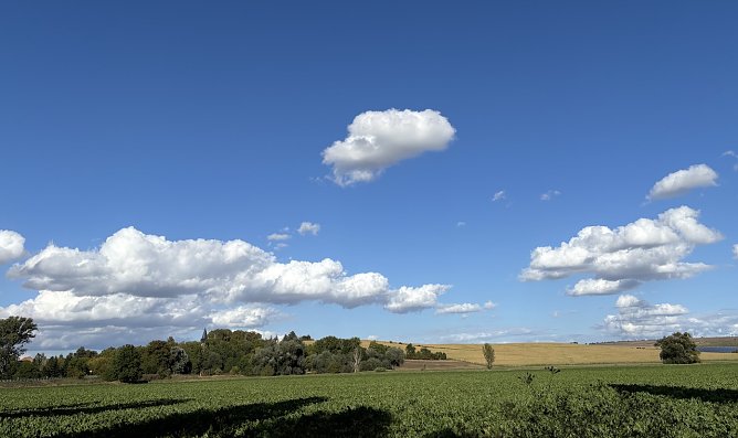 Ein sommerliches Wochenende steht uns bevor (Foto: oas)
