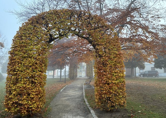 Weiter ruhiges Herbstwetter (Foto: oas)