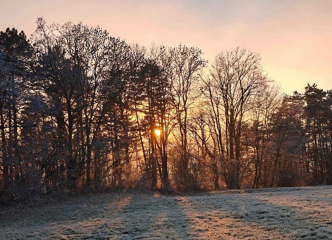 Sonnenuntergang im S&uuml;dharz (Foto: P.Blei)