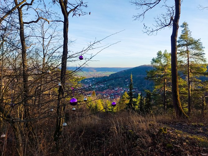Blick von der L&ouml;wenburg auf Bleicherode (Foto: Ramona Koch)