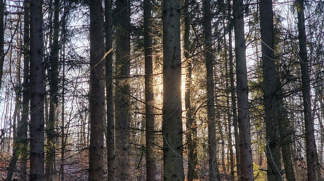 Wetterbild (Foto: agl) Wetterbild (Foto: agl)