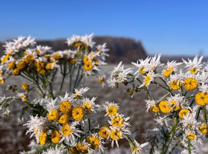 Symbolbild Wetter (Foto: ssc) Symbolbild Wetter (Foto: ssc)