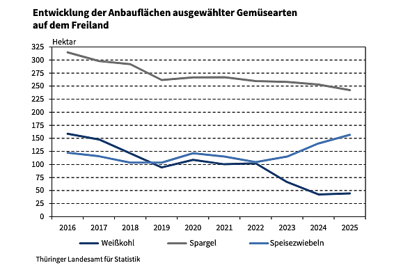Anbaufläche der drei wichtigsten Gemüse in Thüringen. (Foto: Grafik: Statistisches Landesamt) Anbaufläche der drei wichtigsten Gemüse in Thüringen. (Foto: Grafik: Statistisches Landesamt)
