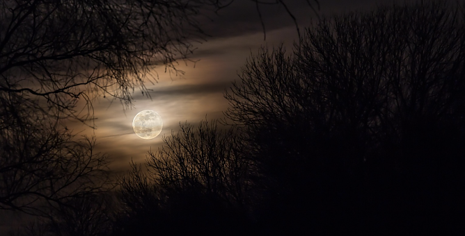 Im Nationalpark Hainich mussten zwei Wanderinnen aus der Dunkelheit geborgen werden, Symbolbild (Foto: Bergadder/pixabay.com)