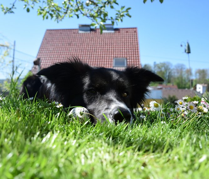 Wetterbild (Foto: pfotografie_ auf Pixabay)