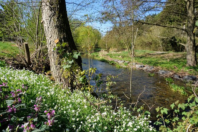 Symbolbild Wetter (Foto: ssc)