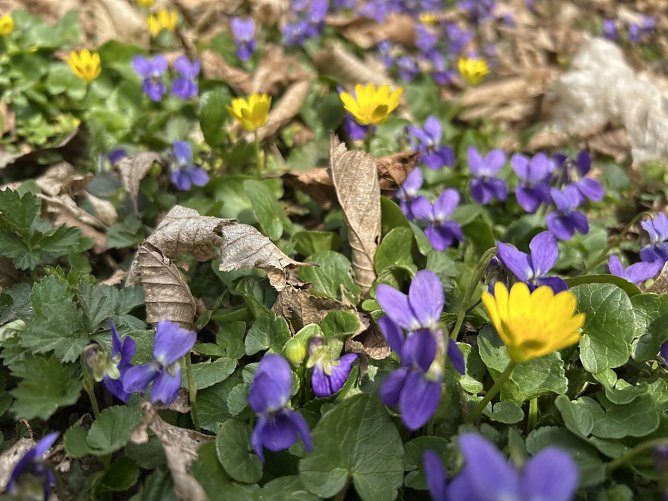 Wetterbild (Foto: nnz)